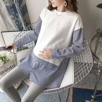 Pregnant woman in spring and autumn dress female fashion holiday two early autumn long sleeve T-shirt middle long pregnant woman dress tide