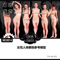 MC0015 Female Human Anatomy Reference Model