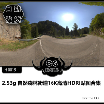 H0019 2 53g Natural Forest Street 16K HD HDRI Map Collection