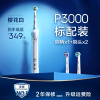 P3000 белый [2 насадки входят в стандартную комплектацию]