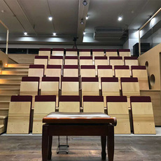 Кресла для кинотеатров 超薄木质礼堂椅医院走廊排椅固定活动会议室报告厅座椅阶梯场地