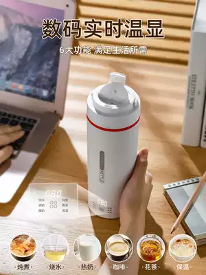 Portable kettle electric kettle electric boiling water cup small travel heat preservation integrated health stew Cup dormitory cooking porridge artifact