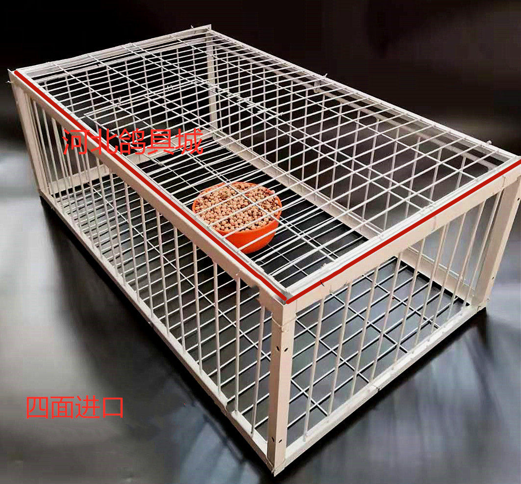 Pigeons hit the door cage pigeon cage encrypted the cage crashing the door pigeon cage, cage, can not enter the cage