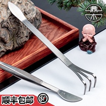 Dingwood stainless steel tweezers rake pressing Soil Knife pine and cypress picking buds bonsai trimming modeling special tool Moss Special