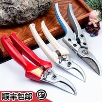 Pruning shears bonsai household garden bonsai shears Alice silk pruning coarse branches scissors fruit tree flower scissors gardening