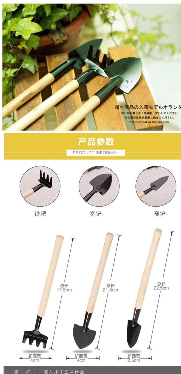 Khuyến mại chậu cây cảnh mọng nước trồng hoa cung cấp dụng cụ làm vườn mini - Nguồn cung cấp vườn binh tuoi cay