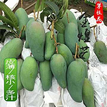 攀枝花金煌大青芒新鲜水果带箱10斤[3元优惠券]-寻折猪