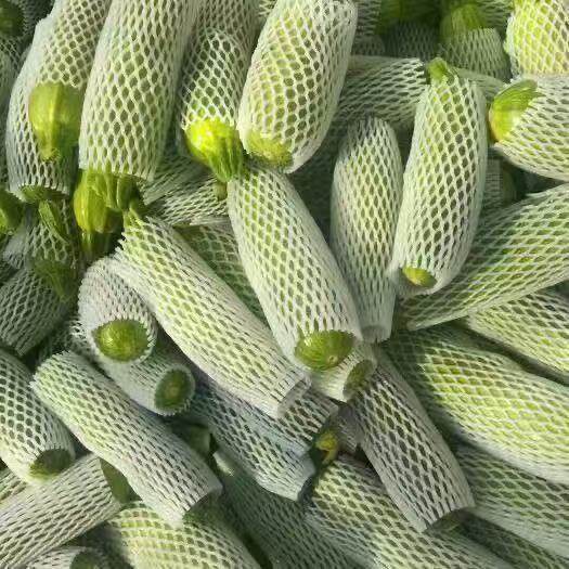 现货新鲜西葫芦瓜嫩茄瓜茭瓜三月瓜番瓜农家菜瓜！产地直发包邮，吃出