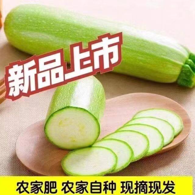 现货新鲜西葫芦瓜嫩茄瓜茭瓜三月瓜番瓜农家菜瓜！产地直发包邮，吃出