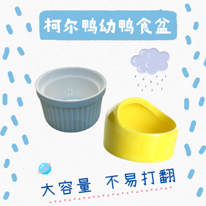 Cole duck food basin anti-knock Bowl Bowl Cole small pet kettle feeding young adult ceramic magnetic easy to clean