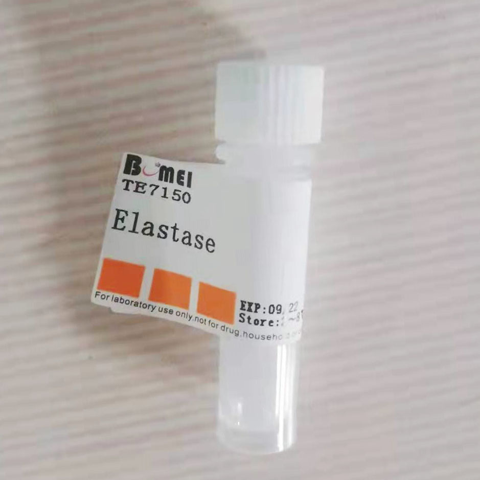 弹性蛋白酶 &ge;30U/mg   科研实验试剂CAS:39445-21-1