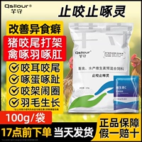 Скопируйте -Бите кусочек -Птица укуса с курицей с кусочками, перьями, накачивающими перьями, разнообразной витаминной свининой, курицей, уткой, гуся