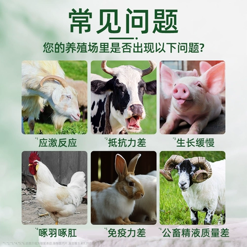 21 Золотые многогранные электролитические многоразмерные звери с витамином различные следовые элементы черепах водной курицы