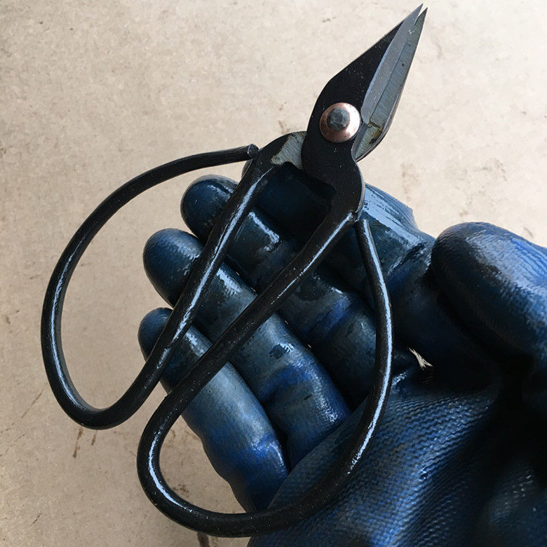 Scissors for sharpen scissors with cut fingernails and scissors for cut wire and scissors for steel - set scissors