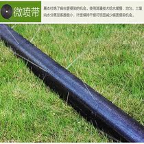 Field irrigation hose drip irrigation belt agricultural drip irrigation tube patch type drip irrigation belt micro spray belt main pipe drip irrigation tube agricultural drip