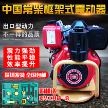 Petrol-Style Concrete Vibrating Rod Shaker Electric Cement Plug-in Pump Shock Rod Exhaust Diesel Zhener