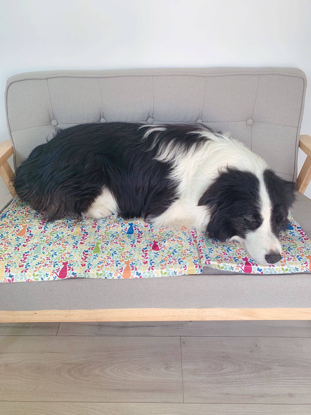 Sierra Pet's new pet dog cool pad cat kennel cooling ice pad method fighting golden retriever edge shepherd small, medium and large dogs