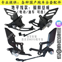 Horizon S model Northern Lights R2 electric motorcycle pedal-shift gear lever brake assembly rear pump bracket