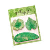 Creative Leaf Sticky Notes for Primary School Students, Practical Classroom Prizes for Junior High School Students, Graduation Gifts for the Whole Class