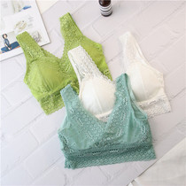 European lace beauty back wrapped breast female sexy V collar lace camisole vest one-piece chest pad gathering underwear