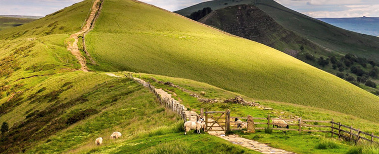 Pantalon collant jeunesse sexy en cachemire - Ref 748926 Image 8