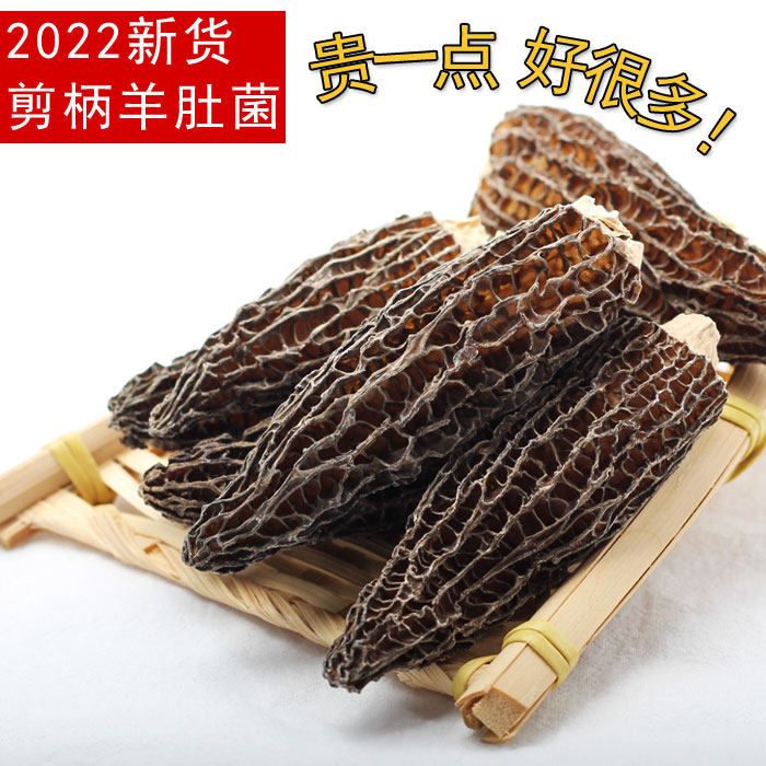 Head stubble cut handle 50g Yunnan special-produced sheep belly-belly mushrooms dry stock Special grade wild goat liver mycoria mushrooms