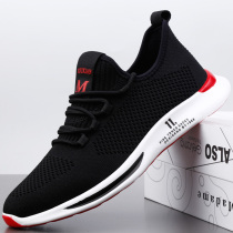 Mens shoes Summer breathable 100 hitchhiking nets Sneaker Men Casual Soft Bottom Mesh Thin shoes Mens wave shoes