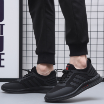 Mens shoes Summer new web surface breathable casual sneakers mens Korean version trendy 100 hitch soft bottom shoes mens wave shoes