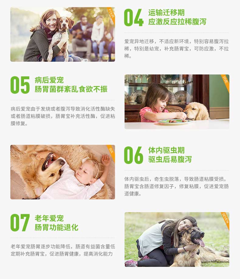 Thú cưng nhỏ tiêu hóa men tiêu hóa men vi sinh điều hòa viêm dạ dày ruột tiêu chảy tiêu chảy mèo chăm sóc sức khỏe mèo sữa bột cho chó con