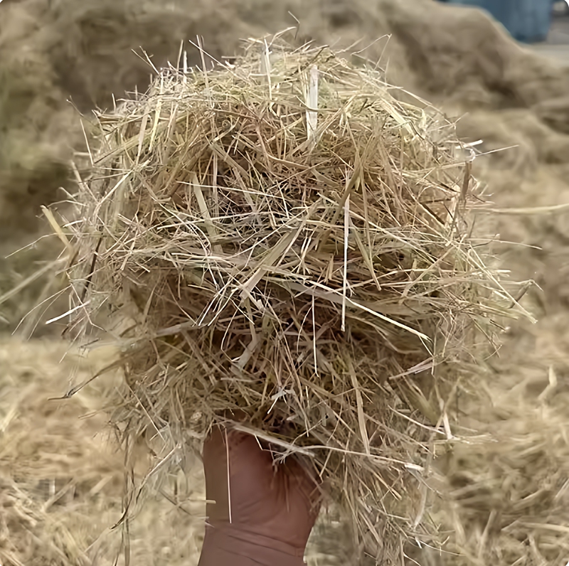 Straw and Hay Bedding for Chicken Nests, Pure Natural Bird Nests, Hen and Pigeon Pet Warm Grass Mats Straw and Hay Bedding for Chicken Nests, Pure Natural Bird Nests, Hen and Pigeon Pet Warm Grass Mats