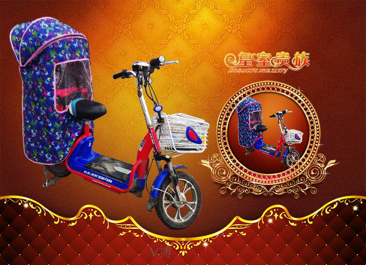 siège enfants pour vélo - Ref 2416487 Image 12