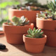 Red pottery succulent plant ceramic flowerpot desktop mud tile pot international pot green plant flower potted combination set