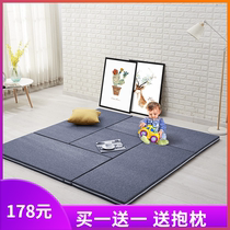 Tatami mat custom double-sided coconut palm latex removable bedroom tatami mattress winter and summer