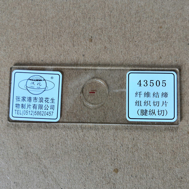 43505纤维结缔组织切片(腱纵切) 浪花牌切片 生物显微镜玻片涂片