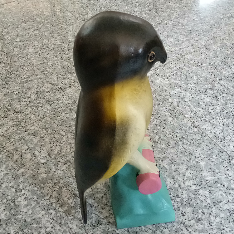 仿真猫头鹰模型 生物教学仪器