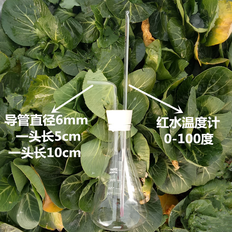 三角烧瓶配打孔橡胶塞导管红水温度计0-100度150/250/500ml