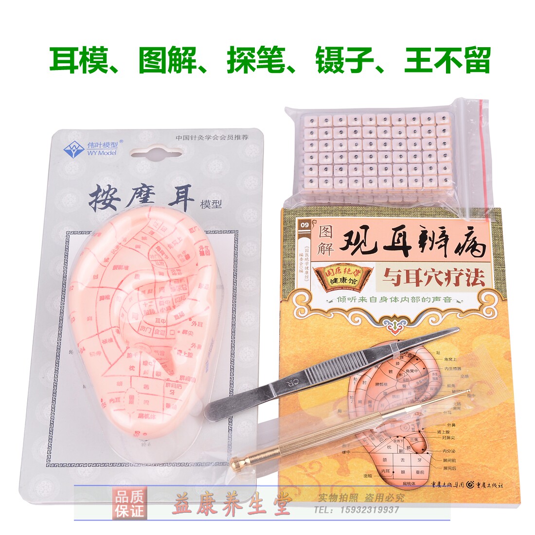 包邮王不留耳贴伟叶耳模型图解观耳辩病耳穴探针按摩贴耳穴位按压