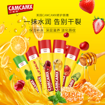 American camcamx Little Mate Lip Balm Strawberry Mint Original Colorless Remediation Moisturizing Anti-Dry Crack