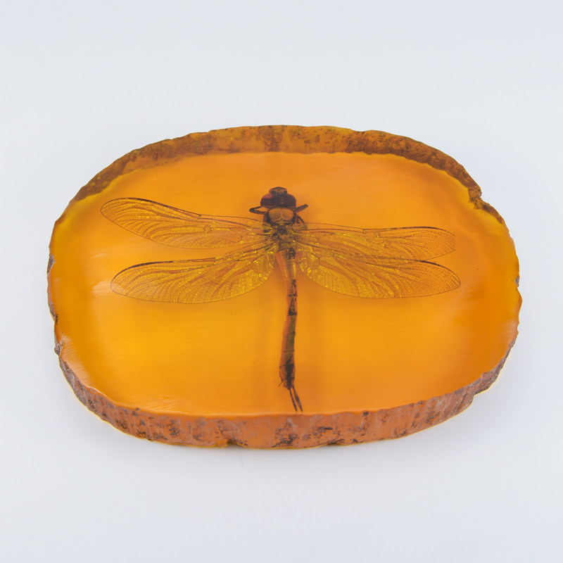 Artificial Amber Specimen Pendant with Real Insect Specimen, Animal, and Insect-Inlaid Amber