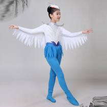 Xiaoho Wind collection wing Lingyun Childrens dance Performance Small Birds Wings Styling Little Children Dance Conjoined Performance Wear