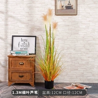 1,3 млн. Чистые листовые тростники