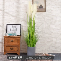 1,5 млн травы+круглый цементный бассейн