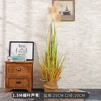 1,5 млн. Чисты