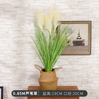 0,85 М тростниковой травы + первичная тканая корзина