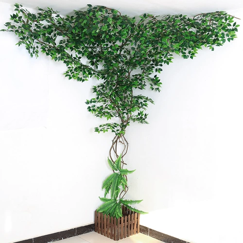 Формальные полосы листьев дерева, лозы, ландшафты, виноградные лозы, виноградные ветви, большие внутренние декоративные деревья растений