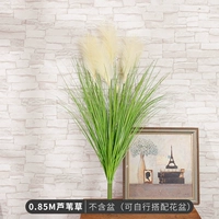 0,85 м тростника травы