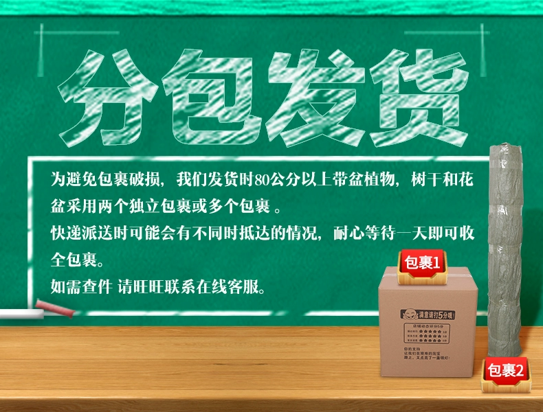 Hoa giả may mắn cây giả mô phỏng cây trong chậu nhựa sàn hoa lớn trong nhà phòng khách trang trí trang trí - Hoa nhân tạo / Cây / Trái cây