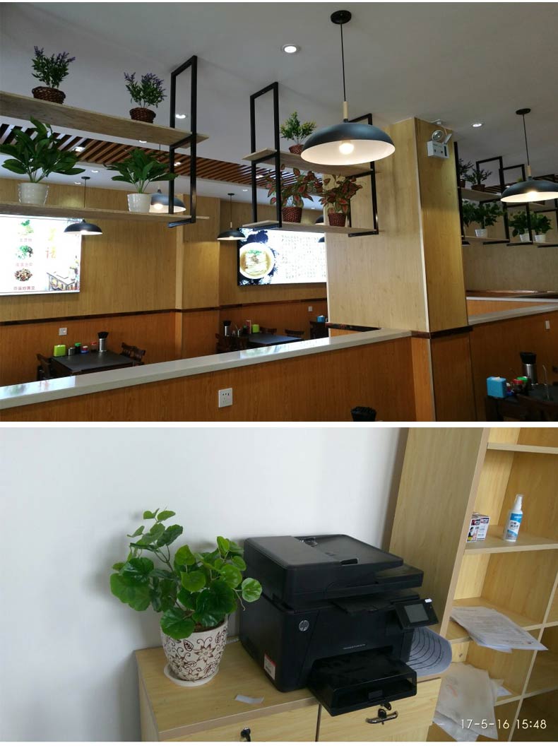 Mô phỏng cây trồng trong chậu hiển thị hoa giả cây xanh trang trí biển bream lá tía tô trong nhà màu xanh lá cây bonsai trang trí hoa nhựa - Hoa nhân tạo / Cây / Trái cây hoa hồng giả đẹp