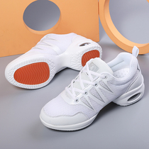 Ghost step dance dance special shoes Yang Liping square dance shoes womens soft bottom breathable fashion with the Four Seasons