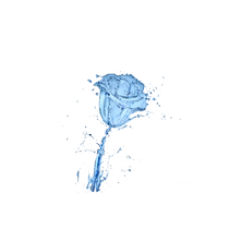 gan cell human ginseng conditioning lotion strong muscle floor the key to open the door to absorption